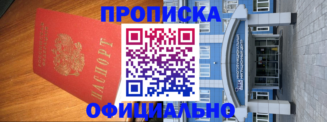 временная регистрация для школы в Шатуре